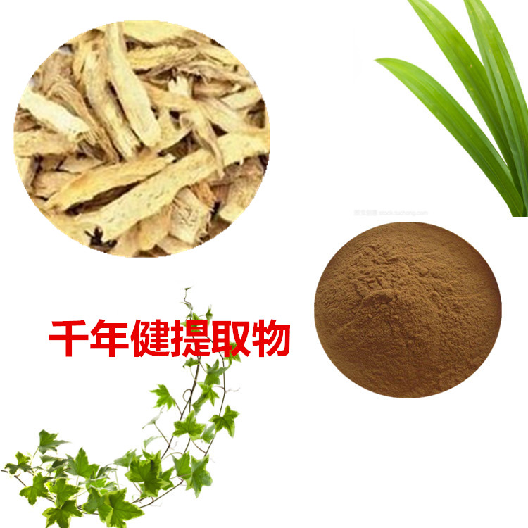 千年健提取物 10:1 水提 千年健水溶粉 千年健浸膏粉 80目