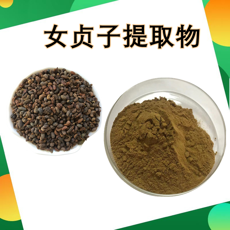 女贞子提取物 比例提取 精选原料 1kg起订 含税运 精选原料