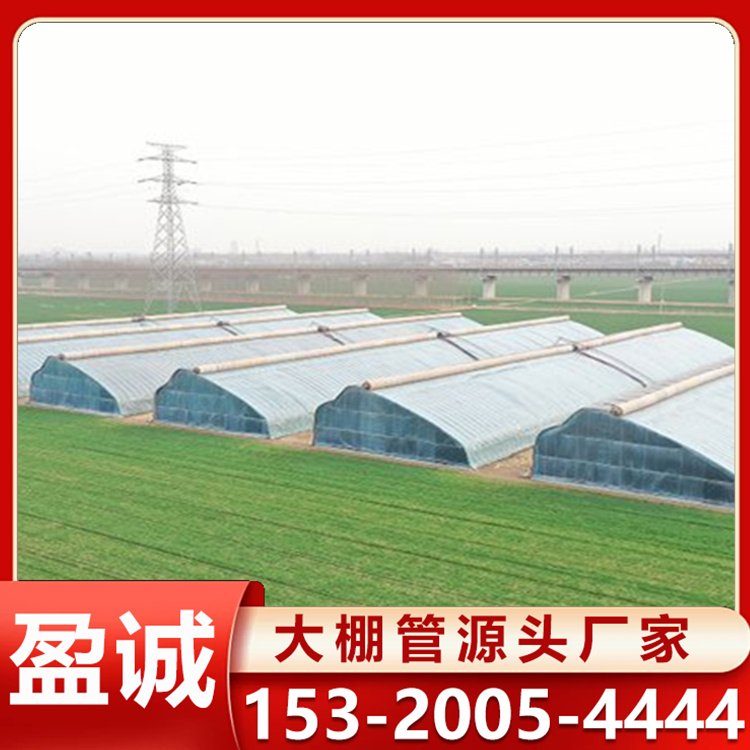 新型智能蔬菜大棚 配置可按需选择 大棚管定制 抗压能力较强
