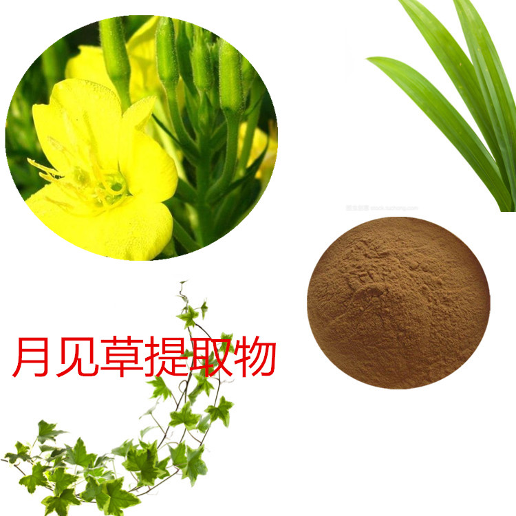 月见草提取物 10:1 水提 多规格比例 月见草浸膏 1.15比重