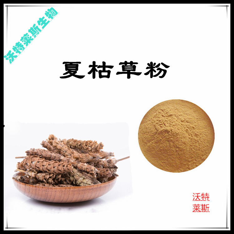 白毛夏枯草提取物 10:1 水提 多规格比例 白毛夏枯草粉