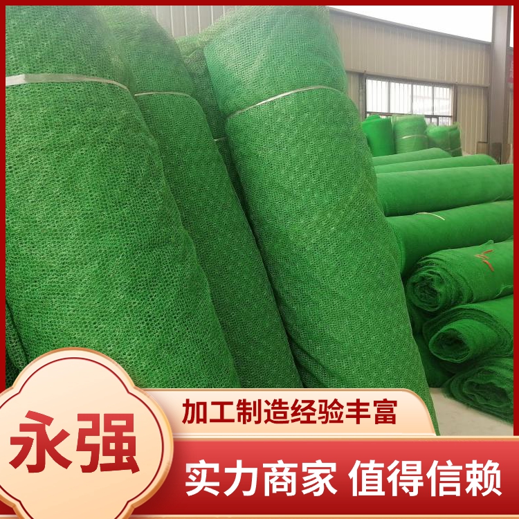 三维植被网厂家 常年供应加筋麦克垫 三维土工网垫