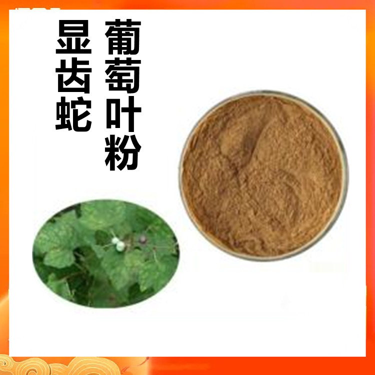 显齿蛇葡萄叶粉   比例浓缩萃取 食品原料规格齐全 六盘韵供应