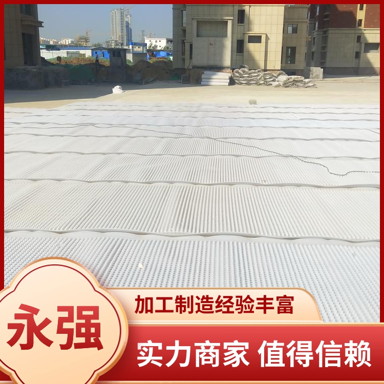 绿化排水板品种齐全