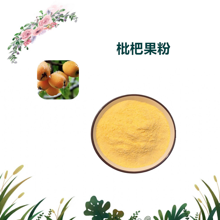 沃特莱斯生物 枇杷粉 水溶性粉末 喷雾干燥粉 1公斤起订 可寄样