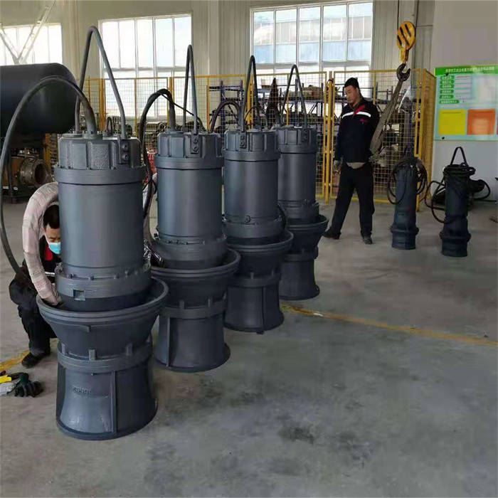 qzb立式潜水轴流泵不锈钢泵雪橇式农用灌溉排水排污大流量抽水泵