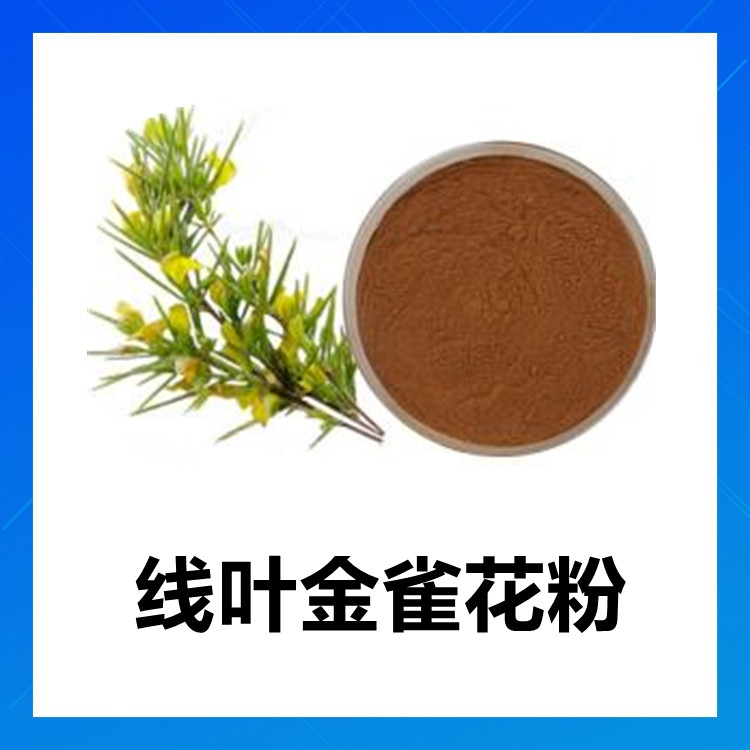 线叶金雀花粉  粉质细腻 易溶解 口感佳 纸板桶包装 易保存 六盘韵