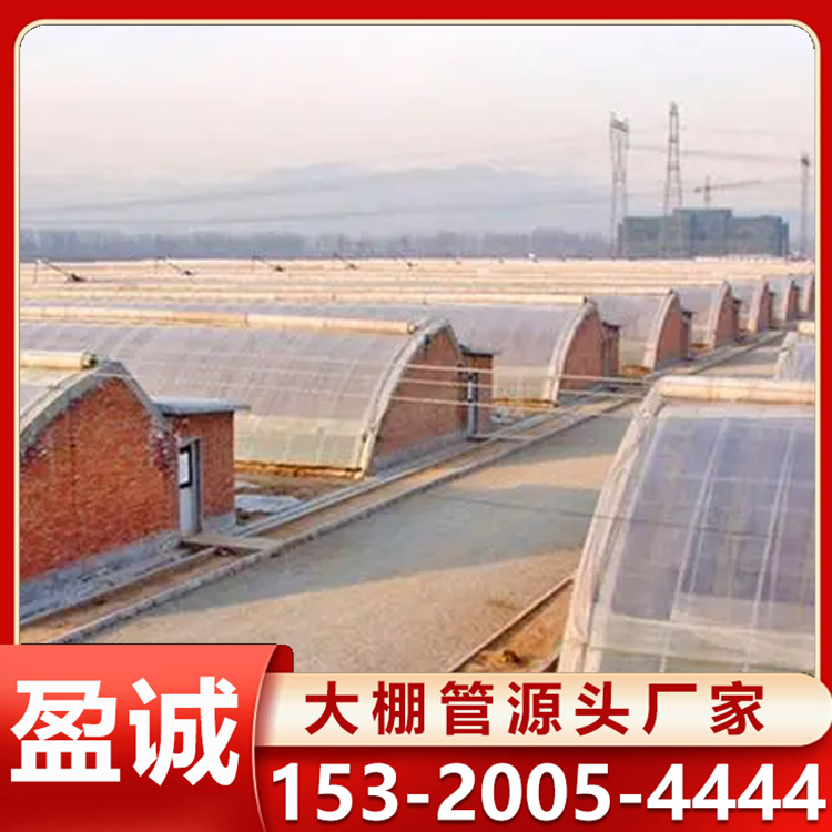 承建日光温室 现代农业大棚 抗风抗压能力较强