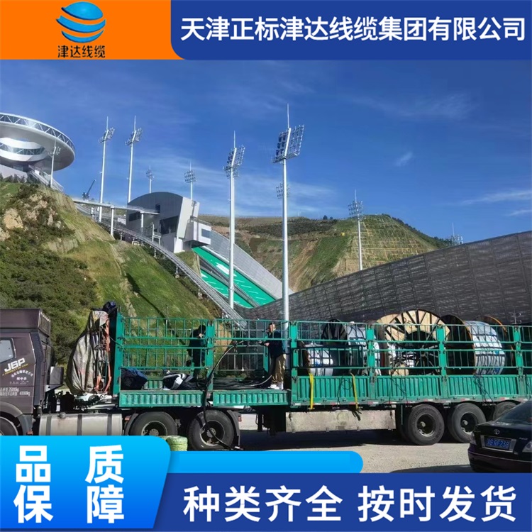 特高压电力电缆 新能源汽车线单芯屏蔽电线 可按需定制