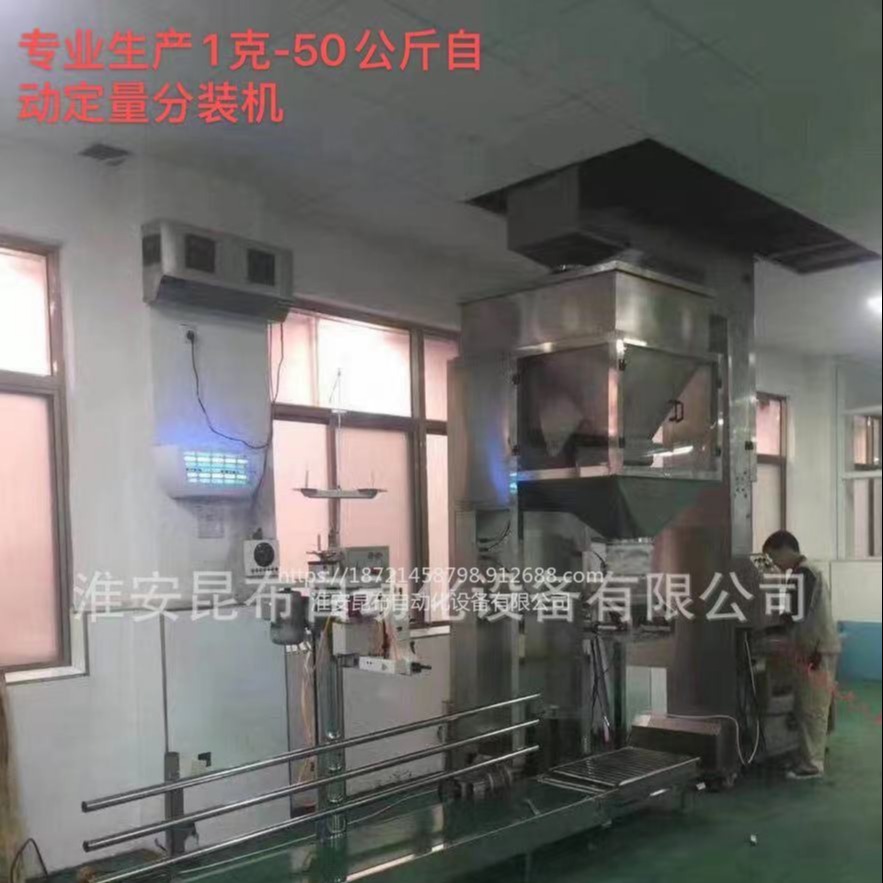 全自动淀粉化工粉料吨包秤 木炭煤炭自动包装机械