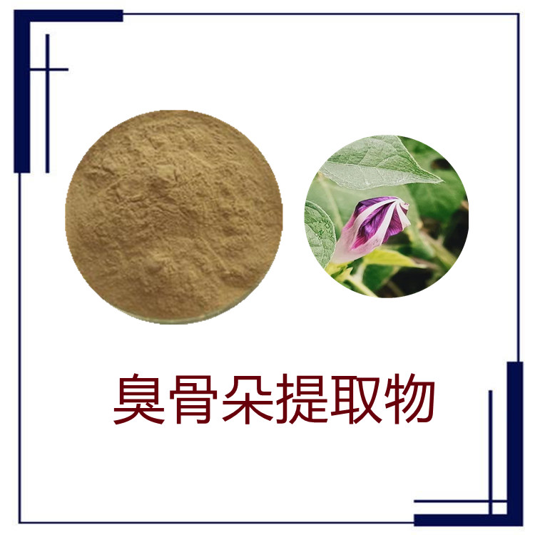 臭骨朵提取物  比例产品   质量稳定   植物原料   固体饮料   全水溶
