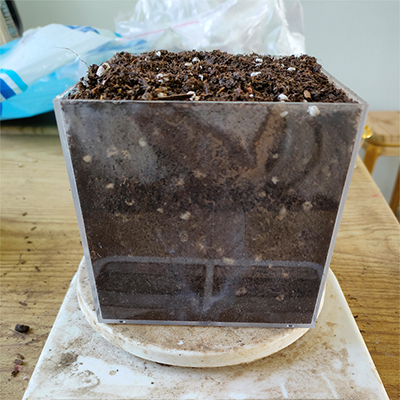 信盈容重0.43-0.8屋顶种植土绿化种植土对花卉保水保湿作用强