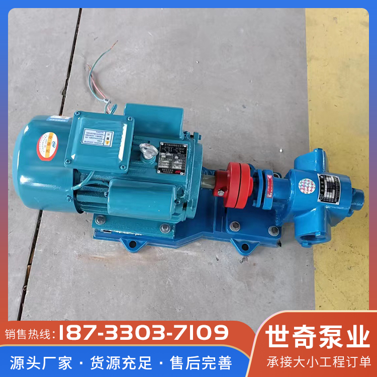 齿轮泵 源头厂家 流量输油泵 多种型号可选