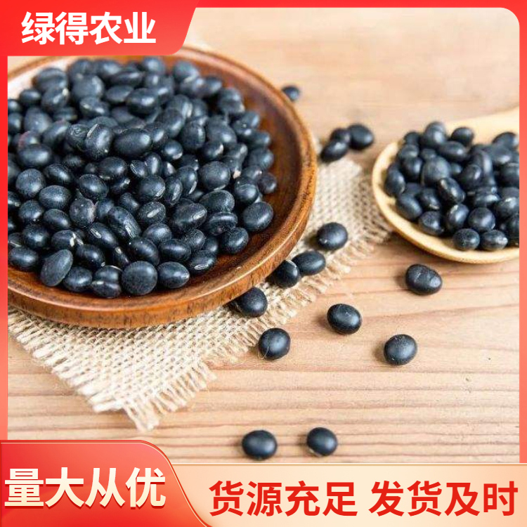 黑大豆种子颗颗精选库存量大 杂粮采购