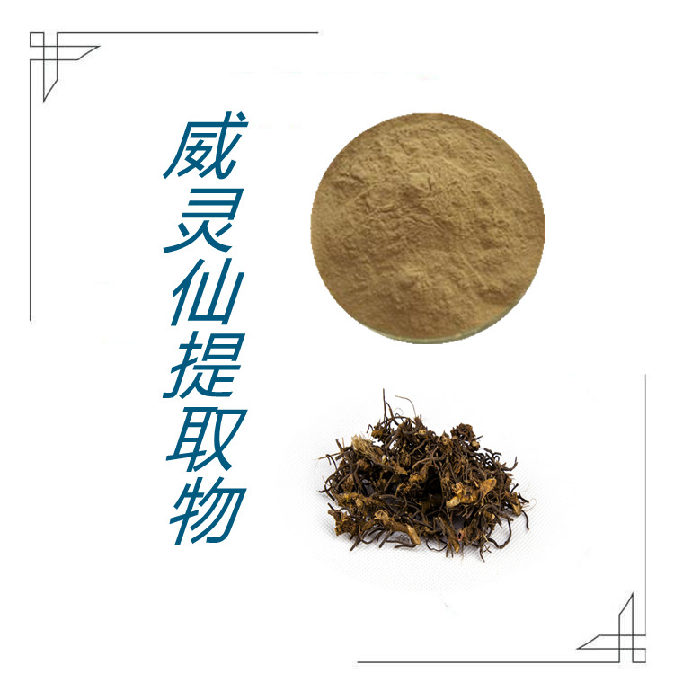 威灵仙提取物   粉末流动性好   比例产品  固体饮料   质量稳定  可寄样