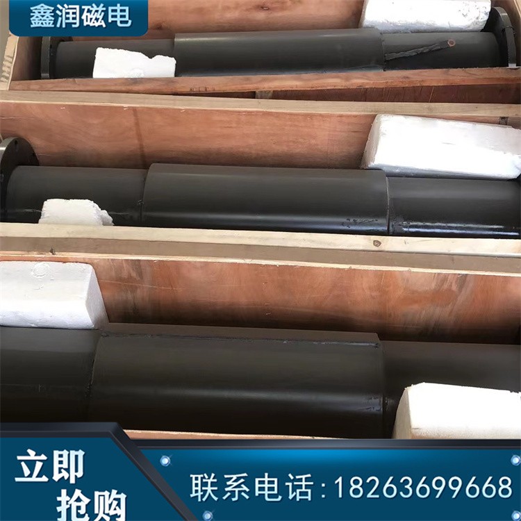 脱磁器 降低精矿虑饼水分 提高选矿综合指标