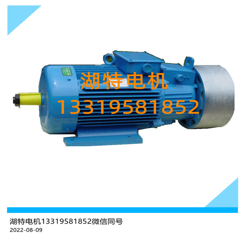 YZRW、YZRDW、YZRSW涡流制动电机VZ涡流制动器