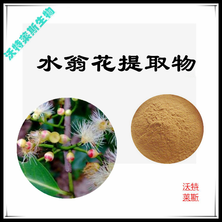 水翁华提取物 10:1 水提 多规格比例 水翁华浸膏 1.15