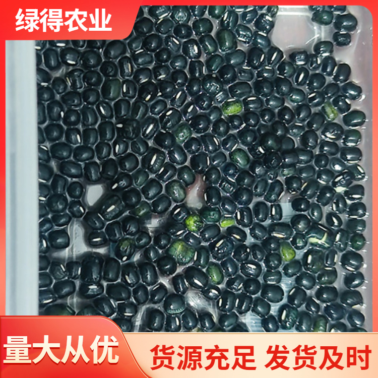 黑绿豆销售