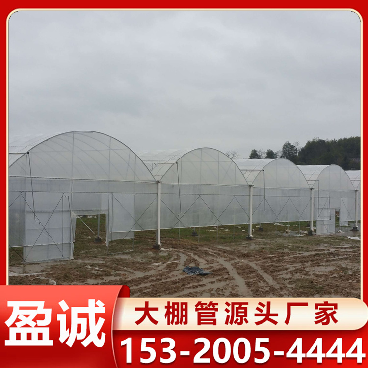 外遮阳连栋大棚 空间利用大 热镀锌大棚骨架 坚固耐用