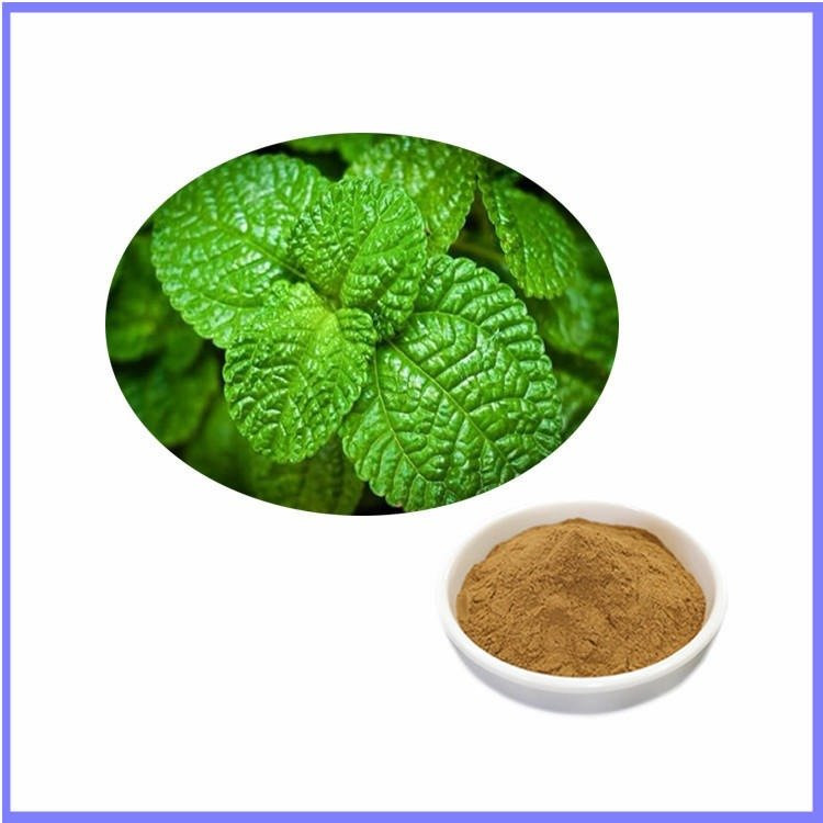 薄荷粉 清凉薄荷提取物浓缩 水溶可压片糖果 固体饮料