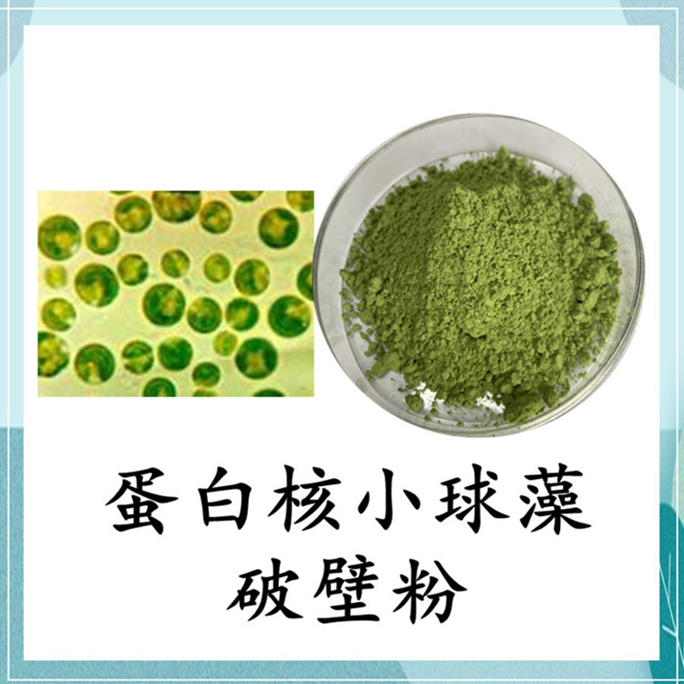 沃特莱斯生物 蛋白核小球藻粉 水溶性粉末 1公斤起订 可寄样
