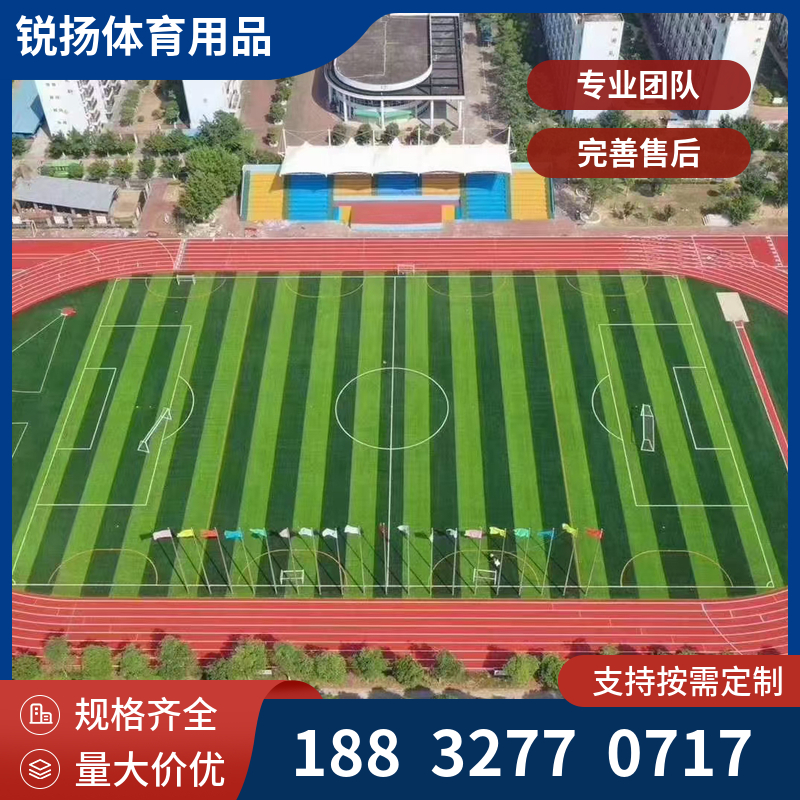 新国标塑胶跑道施工 全塑透气型户外塑胶运动场地