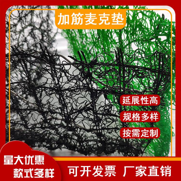 加筋麦克垫三维植被网 河道治理护坡固土网垫绿滨垫