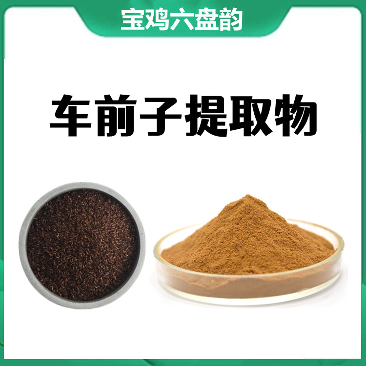 车前子提取物  纸板桶包装 易保存 粉末疏松 国内包邮 可发小样