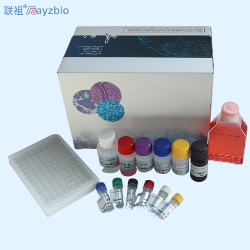 PCR检测试剂盒厂家