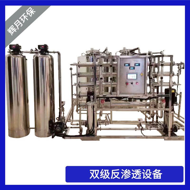 苏州纯水设备厂家 不锈钢双级纯水机 辉月环保净水机工厂