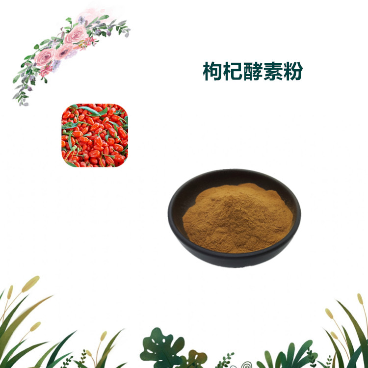 沃特莱斯生物 枸杞酵素粉 水溶粉 喷雾干燥粉 1公斤起订