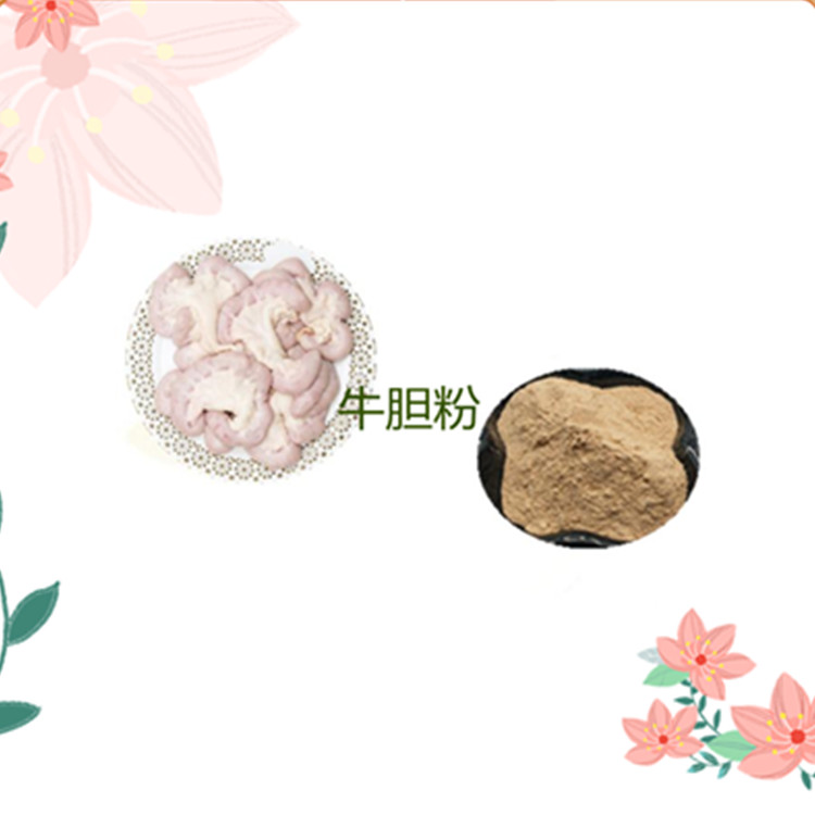 沃特莱斯生物 牛胆粉 牛胆酸 食品原料 1公斤起订 可寄样