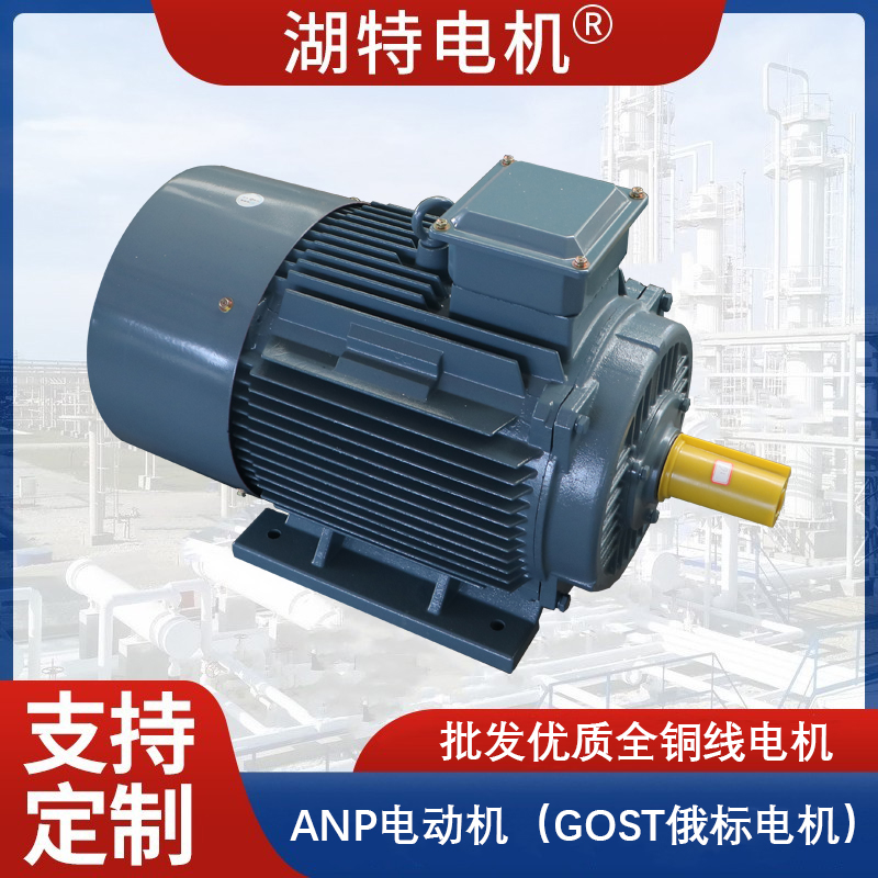ANP GOST 俄标电机
