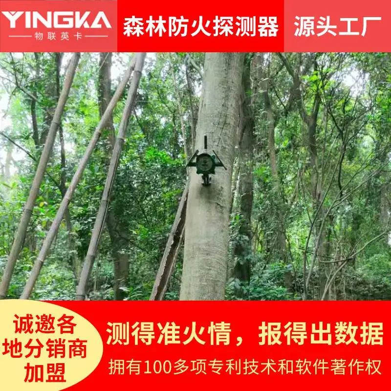 全国英卡电子森林防火探测器林下火监测探测