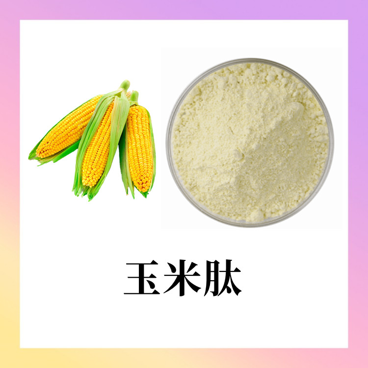 玉米肽  低聚肽  玉米胚芽粉  速溶粉末  分子量小 1000道尔顿