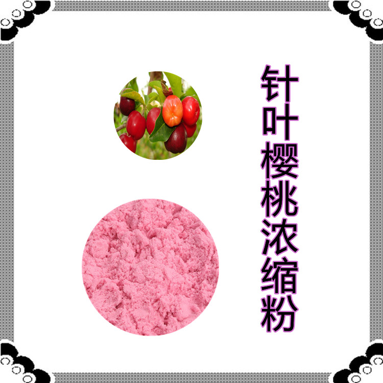 针叶樱桃浓缩粉  粉末流动性好  质量稳定  植物原料 食品级 固体饮料