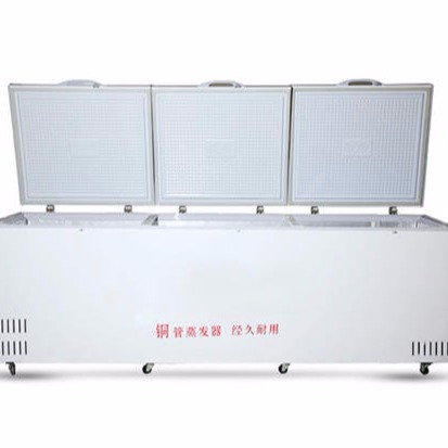 3.6米工业防爆冰柜BL-W1800CD冷藏冷冻可转换防爆冰柜大容量1800升叶其电器