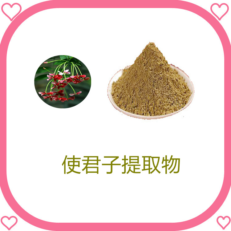 使君子提取物   粉末细腻  全水溶  国标生产   植物原料  食品级