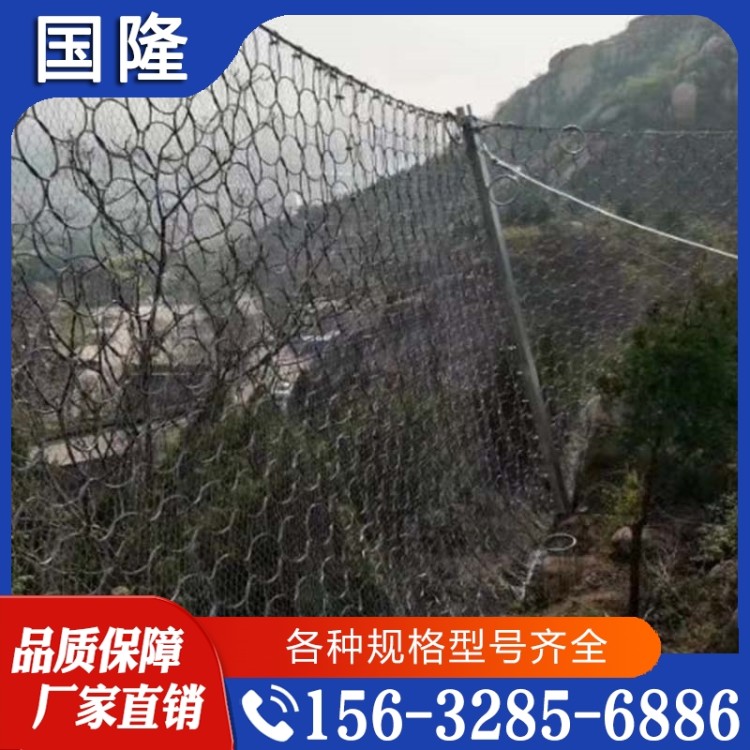 边坡防护网  欢迎咨询订购 值得信赖
