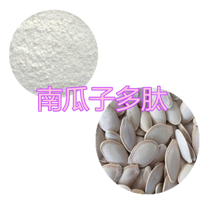 南瓜子提取物 10:1 水提 南瓜子蛋白 南瓜子浓缩粉