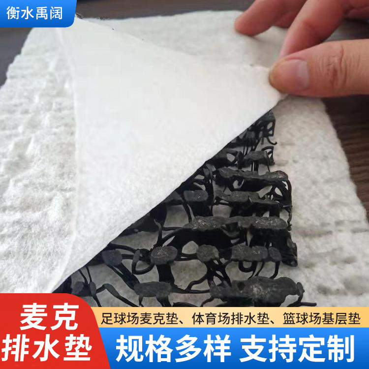 挡墙体育场渗排水用三维聚丙烯复合波形W型M型麦克排水垫