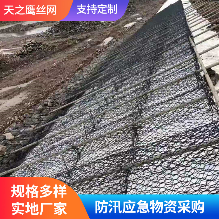 雷诺护垫报价