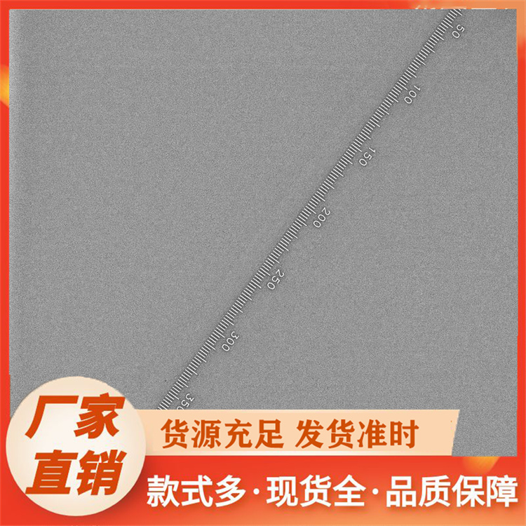 放射铅尺专业厂家