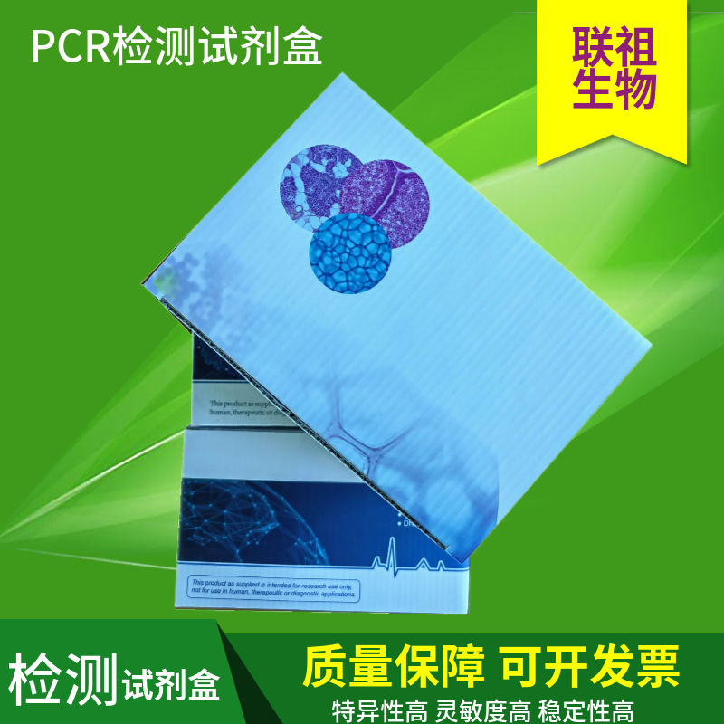 荧光定量PCR试剂盒批发