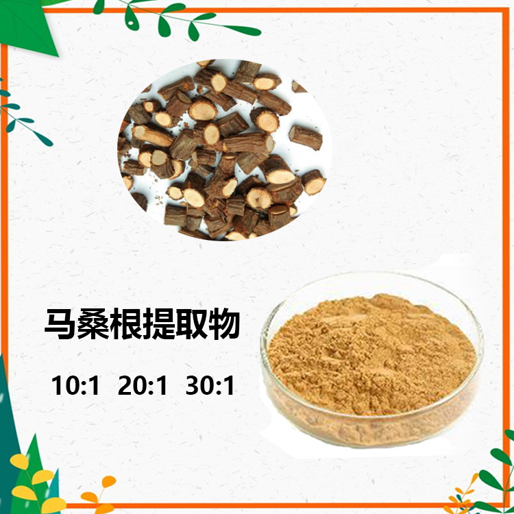 马桑根提取物 10:1 水提 多规格比例 马桑根浸膏 马桑根粉