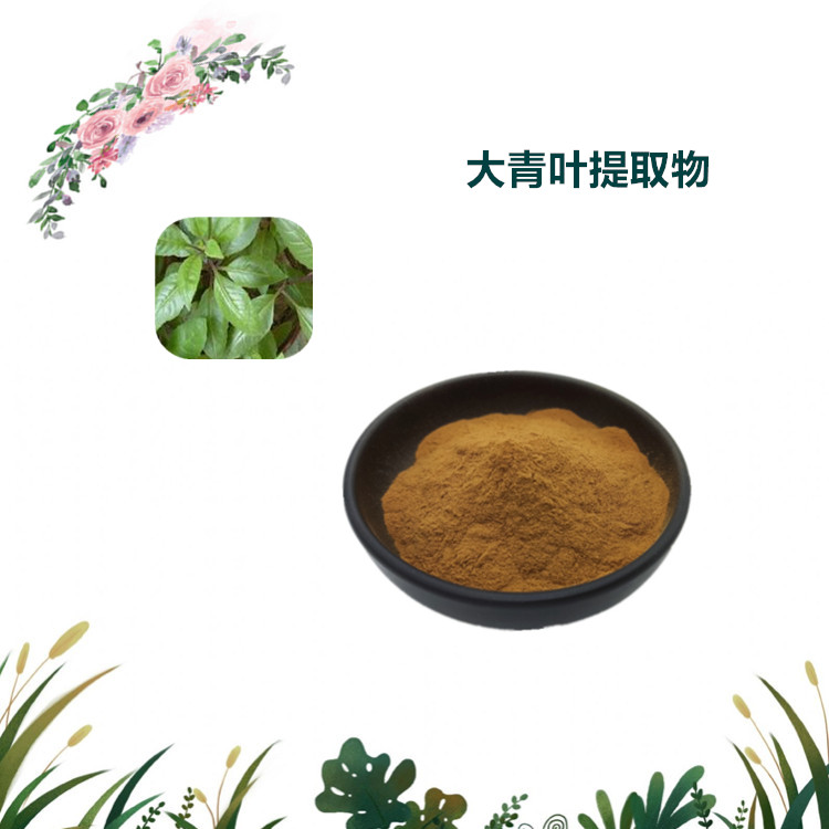 沃特莱斯生物 大青叶提取物 浸膏粉 萃取粉 水溶性好 可定制