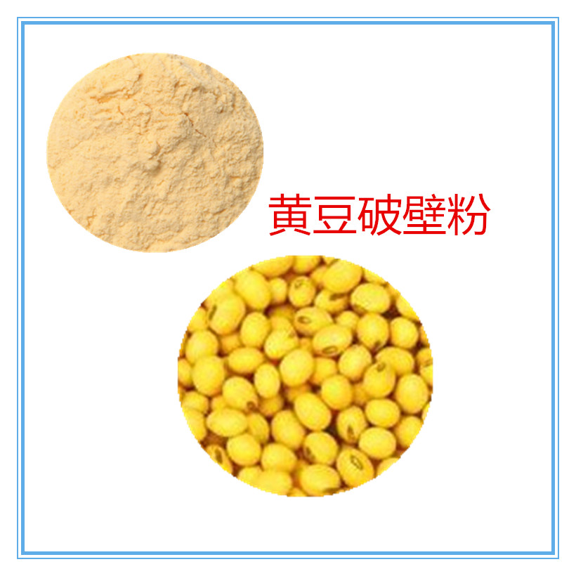 沃特莱斯生物 黄豆粉 黄豆速溶粉 黄豆原粉 多规格订制 可寄样