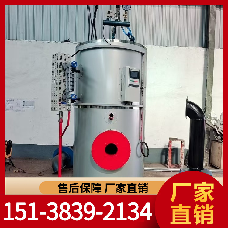 燃气蒸汽发生器 燃油蒸汽发生器 厂家直销 可按需定制 型号齐全