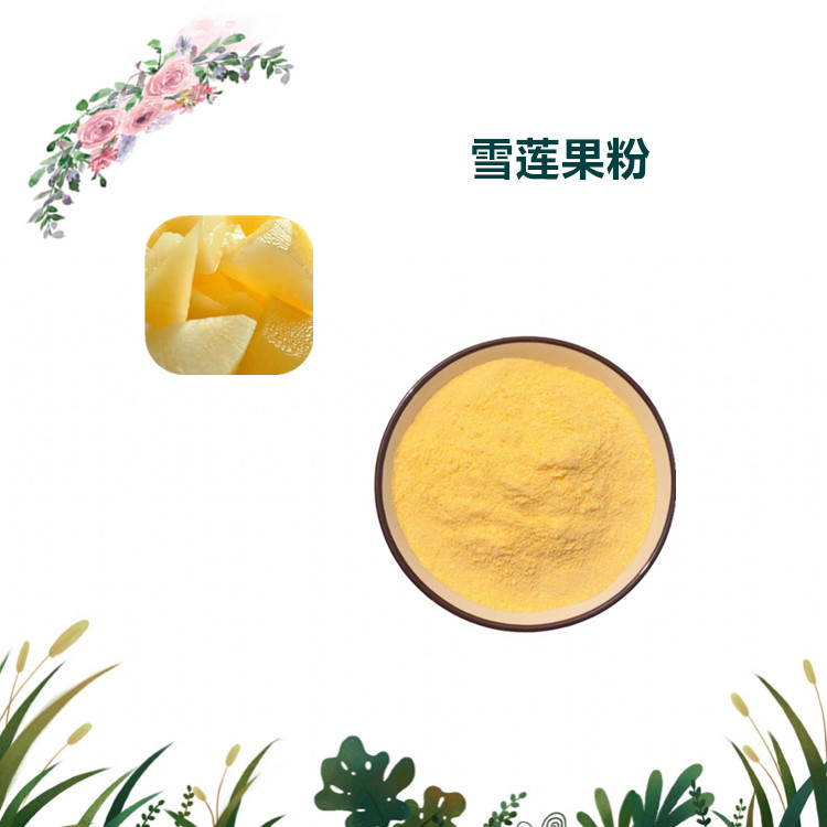 沃特莱斯生物 雪莲果粉 水溶性粉末 雪莲果原粉 1公斤起订